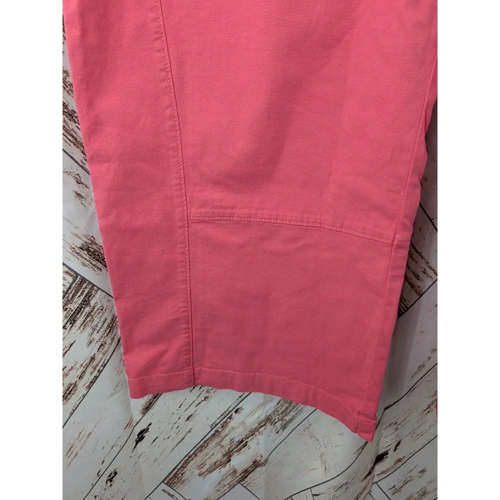 Pilcro/Anthropologie The Izzie‎ Relaxed Pull On Barrel Pants in Tea Rose